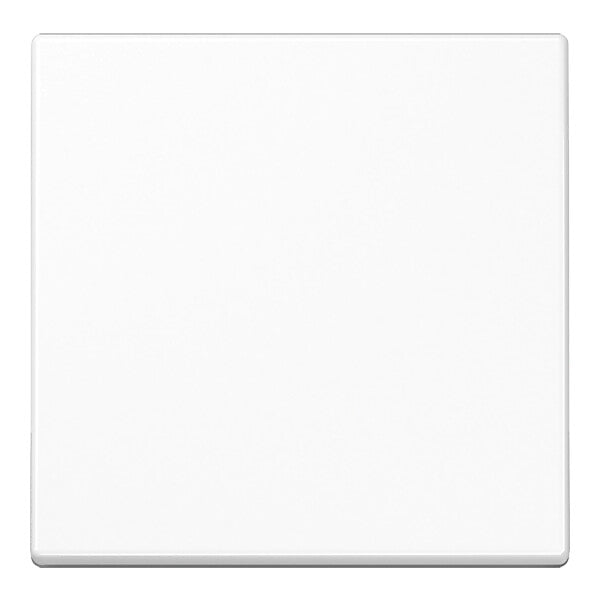 JUNG Wippe aws für Taster A 590 WW